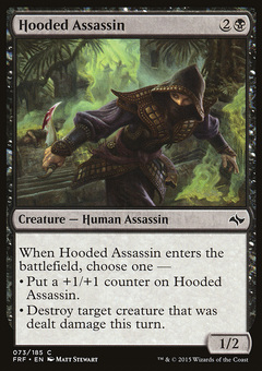 Hooded Assassin